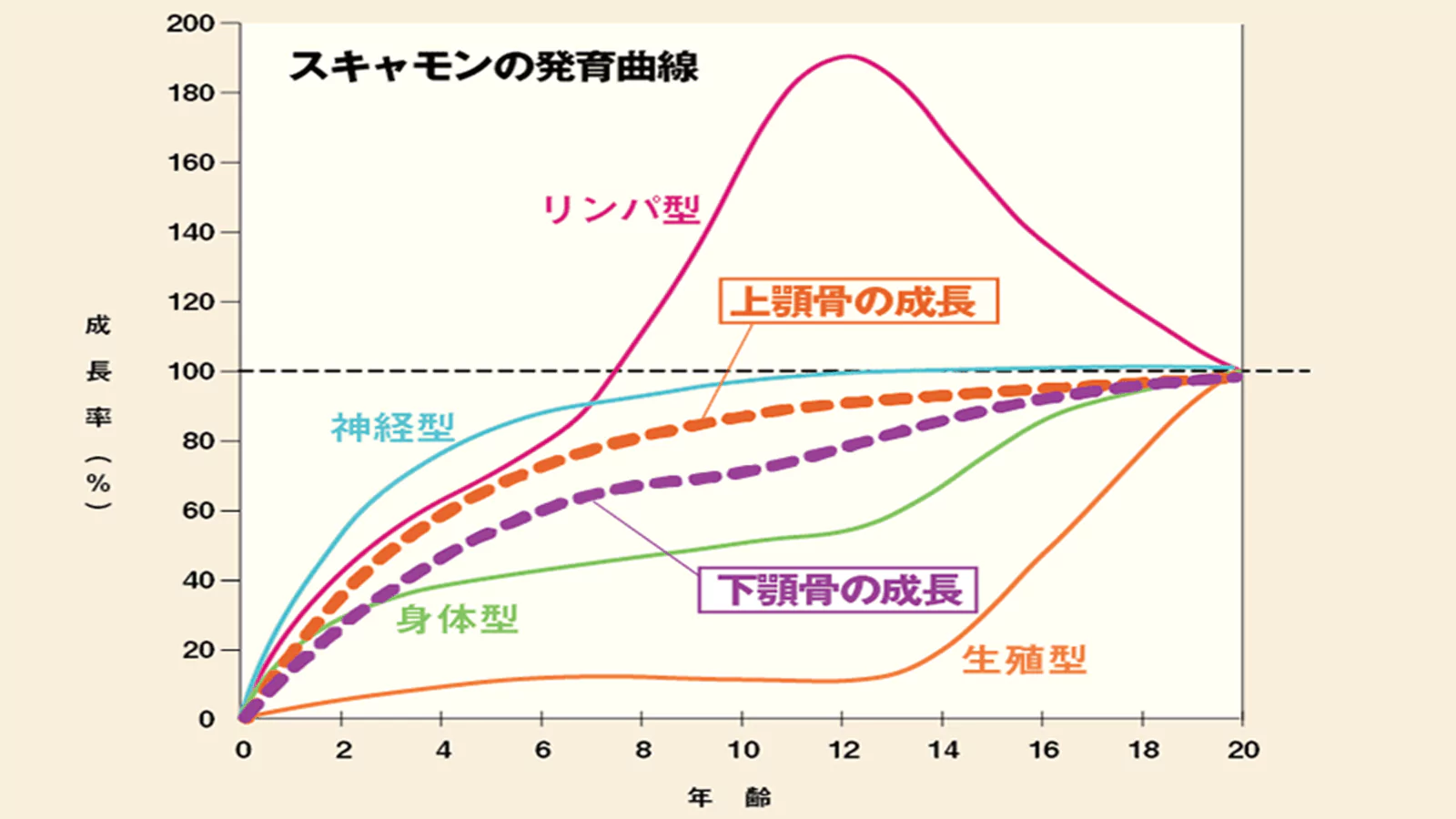 小児矯正(1期治療)の目的
